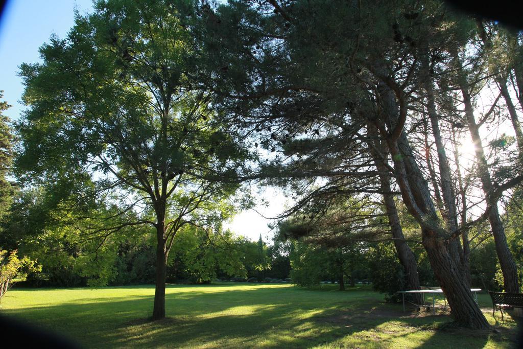 Mas La Provence Bed & Breakfast LʼIsle-sur-la-Sorgue Екстериор снимка